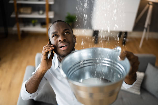 Best Water damage restoration experts  in Irwindale, CA