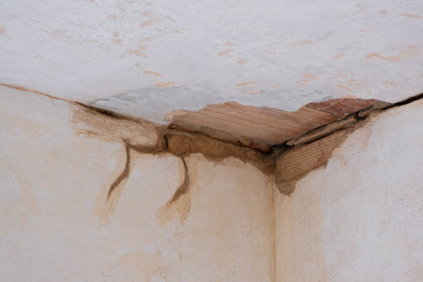 Trusted Irwindale, CA Water damage restoration Experts
