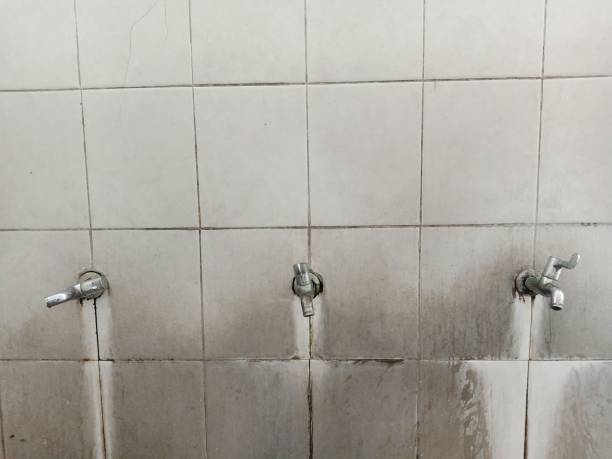 Best Flood damage cleanup  in Irwindale, CA