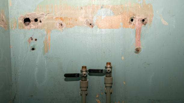 Best Fire Damage Restoration  in Irwindale, CA