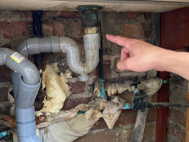 Best Carpet water damage restoration  in Irwindale, CA