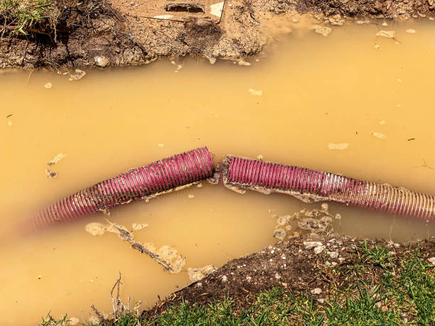 Best Water damage cleanup near me  in Irwindale, CA