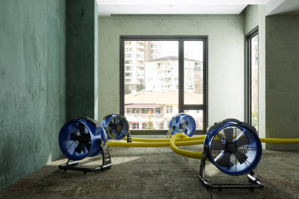 Best Commercial water damage restoration  in Irwindale, CA